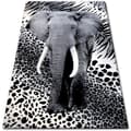 Miniatyrbild 1 av 5: Matta BCF FLASH 33293/170, 160x225 cm