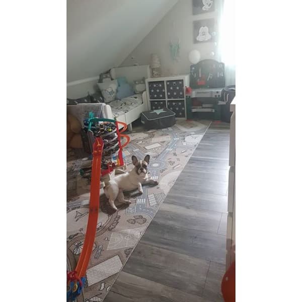 Halkskydd Matta vägg till vägg för barn STREET beige, 100x250 cm