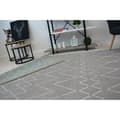 Miniatyrbild 4 av 5: Matta SENSE Micro 81249 ZIGZAG ETHNO silver/vit, 80x150 cm