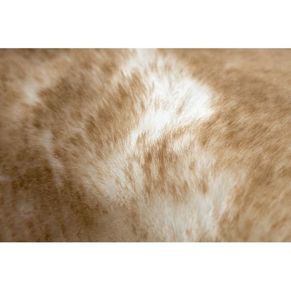 Tæppe LAPIN Shaggy elfenben / brun skridsikker, vask, 180x270 cm