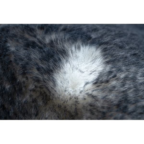 Modern tvättmatta LAPIN lurvig, halksäker elfenben / svart, 180x270 cm
