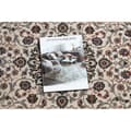 Pikkukuva 2 / 5: Matto NAIN Ornamentti, kehys 6635/51036 beige / punaruskea, 80x150 cm
