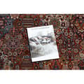 Pikkukuva 2 / 5: Matto KESHAN Ornamentti, kehys itämainen 7576/53511 terrakotta, 160x230 cm