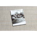 Miniatyrbild 2 av 5: Matta SISAL SION Ram 21782 Platt vävd ekru / beige, 180x270 cm