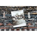 Miniatyrbild 2 av 5: Modern matta BELLE BR36A svart / rosa Fringe, 120x170 cm