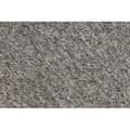 Pikkukuva 2 / 5: Laitoksen matto SUPERSTAR 836 vaalean beige , 300x350 cm