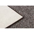 Pikkukuva 3 / 5: Laitoksen matto SUPERSTAR 310 beige ruskea, 150x300 cm