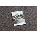 Pikkukuva 2 / 5: Laitoksen matto SUPERSTAR 310 beige ruskea, 150x300 cm