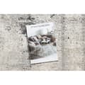 Miniatyrbild 2 av 5: Modern Matta TULS strukturell, fringe 51321 vintage, Ram, rosette beige / grå , 140x190 cm