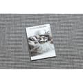 Miniatyrbild 2 av 5: Matta TIMO 5979 SISAL utomhus frame light grå, 120x170 cm