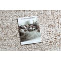 Miniatyrbild 2 av 5: Matta ACRYLIC VALS 0W9990 H02 48 Abstraktion ornament ivory / copper, 160x230 cm