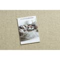Pikkukuva 2 / 5: Villamatto VILLA 8986/69400 Yksivärinen SIZAL, litteä kudottu beige, 80x150 cm