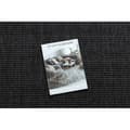 Miniatyrbild 2 av 5: Matta TIMO 5979 SISAL utomhus frame svart, 140x190 cm
