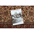 Miniatyrbillede 2 af 5: Tæppe villaa KASHQAI 4362 102 ornament beige / rødbrun, 120x170 cm