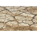 Pikkukuva 3 / 5: Matto KARMEL Terra halkeileva maa harmaa karamelli 90 cm, 90x690 cm