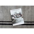 Miniatyrbild 2 av 5: Matta AMOUR 53104A beige - Ram, modern, elegant, 78x150 cm