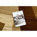 Miniatyrbild 2 av 5: Matta ROYAL G2095 Geometrisk - beige / brun, 250x350 cm