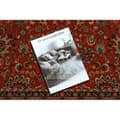 Pikkukuva 2 / 5: Villa matto KASHQAI 4362 200 ornamentti punaruskea / beige, 67x130 cm