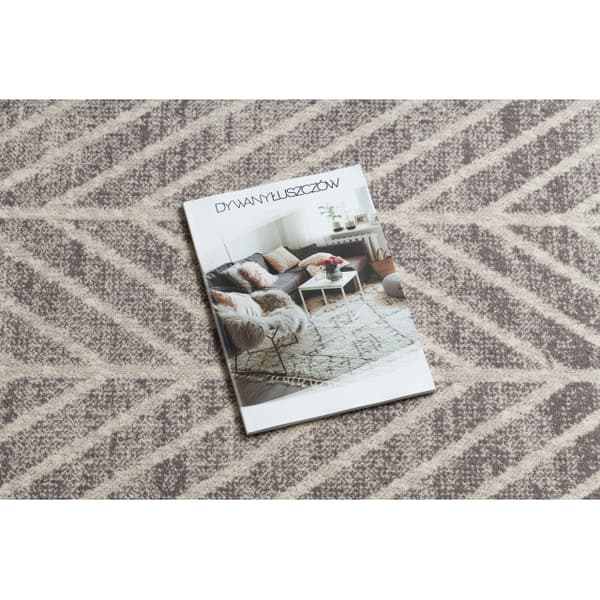 Matto Villa ANGEL 1188 / 52033 Chevron, kalanruoto beige / harmaa, 200x300 cm