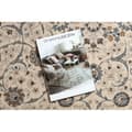 Pikkukuva 2 / 5: Matto NAIN Ornamentti, kehys, 7179/51613 beige / sininen, 80x150 cm