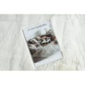 Miniatyrbild 2 av 5: Modern TEDDY NEW wool 45 cirkel shaggy, plysch, mycket tjock grädde, cirkel 160 cm