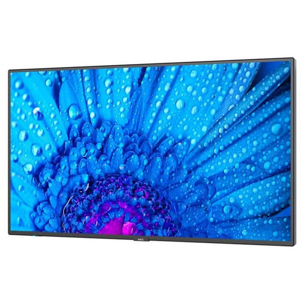 Nec Overvåge Multisync M491 49´´ 4k Led Sort One Size / EU Plug
