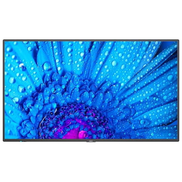 Nec Monitor M651 65´´ Uhd Led Musta One Size / EU Plug