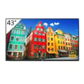 Miniatyrbillede 1 af 4: Sony Monitor Fw-43bz30j 43´´ 4k Ips Led Sort Europe PAL / EU Plug