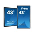 Pikkukuva 7 / 10: Iiyama Monitori Prolite T4362as-b1 43´´ 4k Led Kirkas