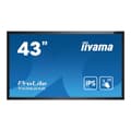 Pikkukuva 1 / 10: Iiyama Monitori Prolite T4362as-b1 43´´ 4k Led Kirkas