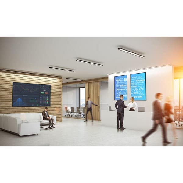 Optoma H1f2c0mbw101 55´´ Skærm Transparent