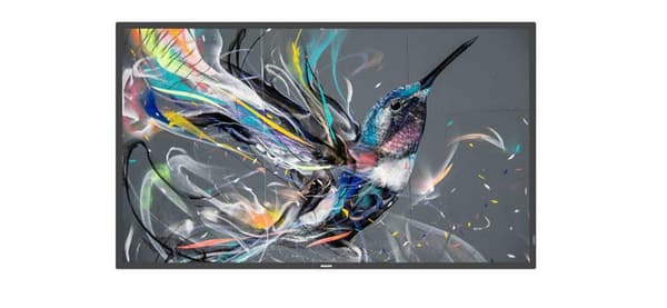 Philips Dis Public 32-kompatibel 32BDL3511Q/00 Q-Line