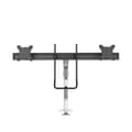 Miniatyrbild 4 av 11: Neomounts DS75S-950WH2 - Monteringssats (bordsmonteringsarm) - Helt flyttbar - för 2 LCD-skärmar - aluminium - vit - skärmstorlek: 43,2-68,6 cm (17"-2