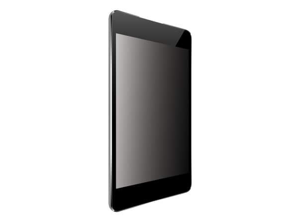 Origin Storage Security Filter 2-Way Plug In for iPad 10.9 (10th Gen), 27.7 cm (10.9"), Tablet, Frameless display privacy filter, Privacy