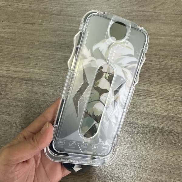INF Samsung S24+ Härdat Glasfilm med Enkelt Appliceringskit