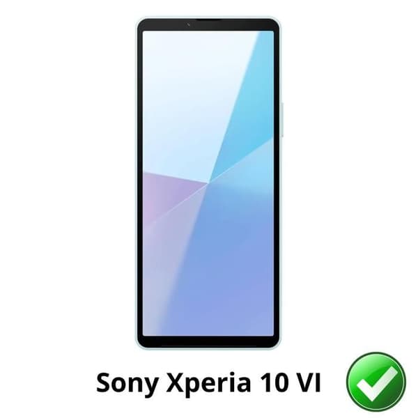 Skärmskydd för Sony Xperia 10 VI [Pack 2] Ultra Tunt Plastisk Skyddsfilm Phonillico®
