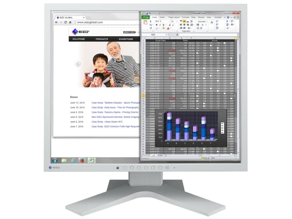 EIZO FlexScan S1934H - LED-skärm - 19" - 1280 x 1024 - IPS - 250 cd/m² - 1000:1 - 14 ms - DVI-D, VGA, DisplayPort - högtalare - grå