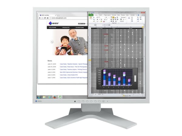 EIZO FlexScan S1934H - LED-skärm - 19" - 1280 x 1024 - IPS - 250 cd/m² - 1000:1 - 14 ms - DVI-D, VGA, DisplayPort - högtalare - grå