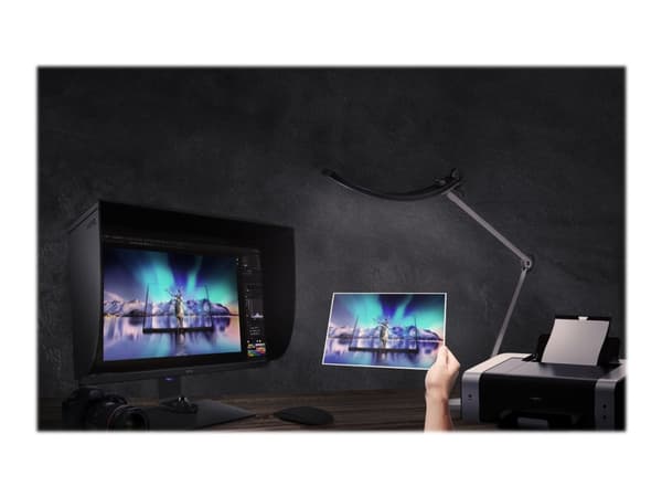 BenQ PhotoVue SW321C - SW Series - LED-skärm - 32" - 3840 x 2160 4K UHD (2160p) @ 60 Hz - IPS - 250 cd/m² - 1000:1 - HDR10 - 5 ms - 2xHDMI, DisplayPo