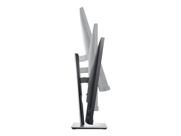Dell P2421 - LED-skjerm - 24.1" - 1920 x 1200 WUXGA @ 60 Hz - IPS - 300 cd/m² - 1000:1 - 5 ms - HDMI, DVI, DisplayPort, VGA