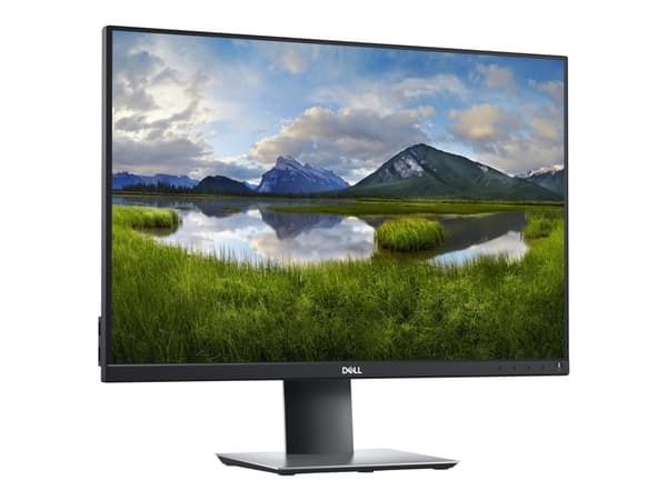 Dell P2421 - LED-skjerm - 24.1" - 1920 x 1200 WUXGA @ 60 Hz - IPS - 300 cd/m² - 1000:1 - 5 ms - HDMI, DVI, DisplayPort, VGA