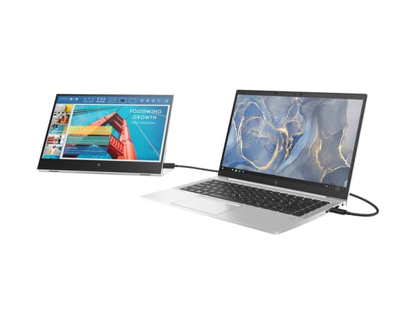 HP E14 G4 Portable - LED-skjerm - 14" - portabel - 1920 x 1080 Full HD (1080p) @ 60 Hz - IPS - 400 cd/m² - 800:1 - 5 ms - 2xUSB-C - sølvstativ