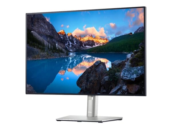 Dell UltraSharp U2421E - LED-skärm - 24.1" - 1920 x 1200 WUXGA @ 60 Hz - IPS - 350 cd/m² - 1000:1 - 5 ms - HDMI, DisplayPort, USB-C - svart - med 3 y Silver