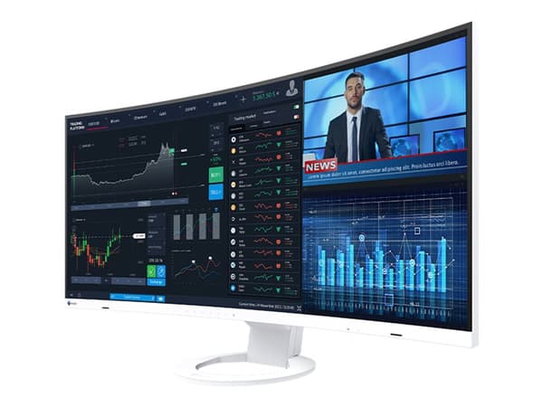 EIZO FlexScan EV3895-WT - Med FlexStand - LED-skärm - böjd - 37.5" - 3840 x 1600 UWQHD+ @ 61 Hz - IPS - 300 cd/m² - 1000:1 - 5 ms - 2xHDMI, DisplayPo Vit