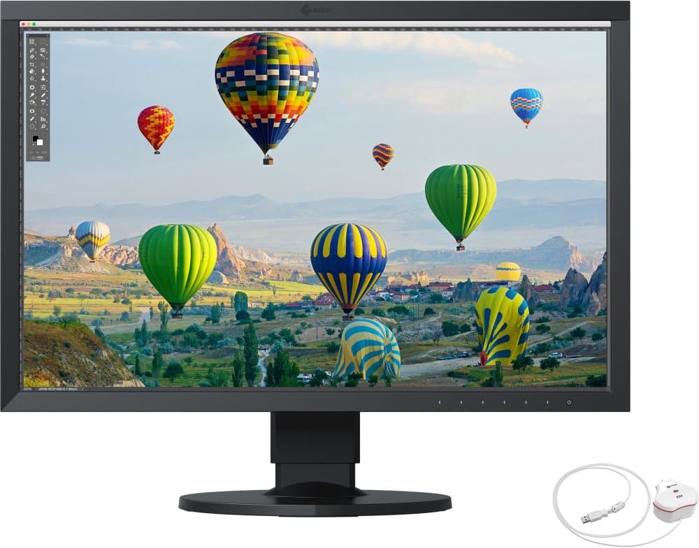 EIZO Monitor ColorEdge CS2410CAL 24" Svart