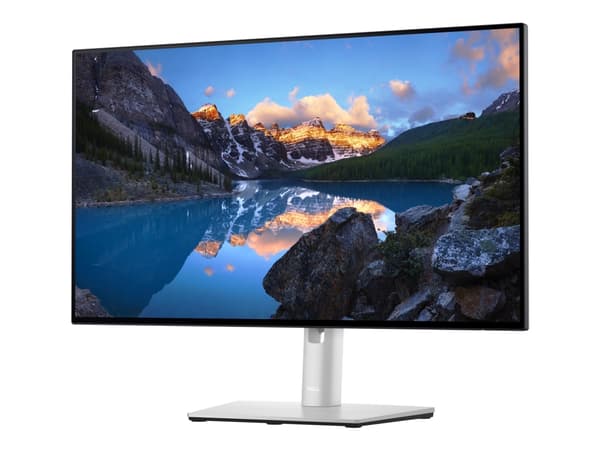 Dell UltraSharp U2422HE - LED-skärm - 24" (23.8" visbar) - 1920 x 1080 Full HD (1080p) @ 60 Hz - IPS - 250 cd/m² - 1000:1 - 5 ms - HDMI, DisplayPort, Silver