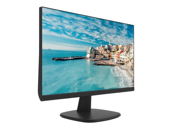 Hikvision DS-D5024FN - LED-skjerm - 23.8" - 1920 x 1080 Full HD (1080p) - IPS - 250 cd/m² - 1000:1 - 14 ms - HDMI, VGA - svart