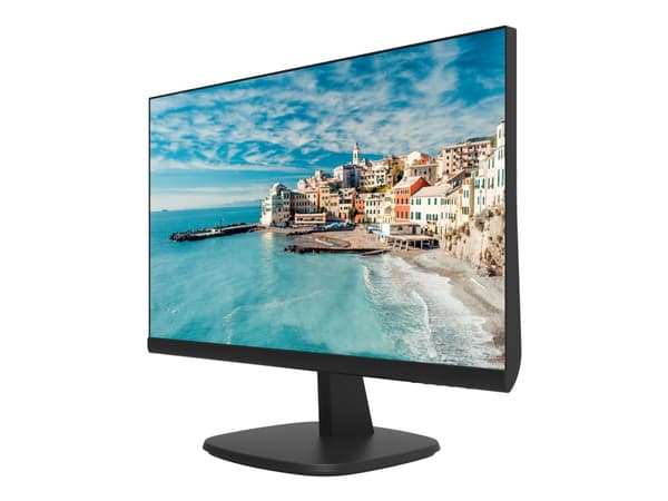 Hikvision DS-D5024FN - LED-skjerm - 23.8" - 1920 x 1080 Full HD (1080p) - IPS - 250 cd/m² - 1000:1 - 14 ms - HDMI, VGA - svart