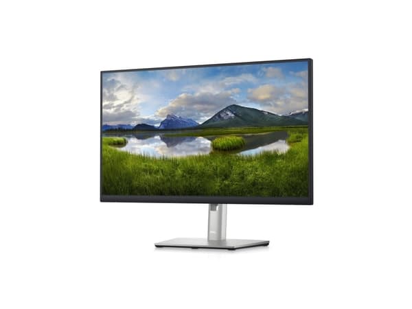 Dell P2423DE - LED-skärm - 24" (23,8" för visning) - 2560 x 1440 QHD @ 60 Hz - IPS - 300 cd/m² - 1000:1 - 5 ms - HDMI, DisplayPort, USB-C - TAA-kompa