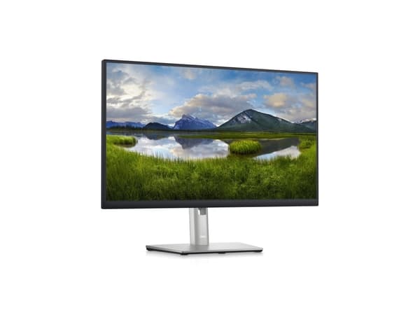 Dell P2423DE - LED-skärm - 24" (23,8" för visning) - 2560 x 1440 QHD @ 60 Hz - IPS - 300 cd/m² - 1000:1 - 5 ms - HDMI, DisplayPort, USB-C - TAA-kompa